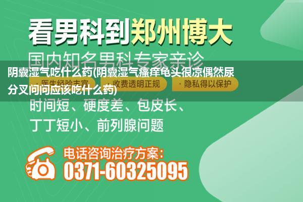 阴囊湿气吃什么药(阴囊湿气瘙痒龟头很凉偶然尿分叉问问应该吃什么药)